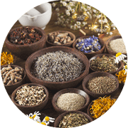 Các loại <br />thảo mộc